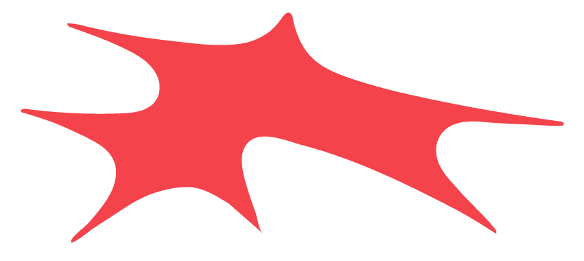 Woida Studio red logo